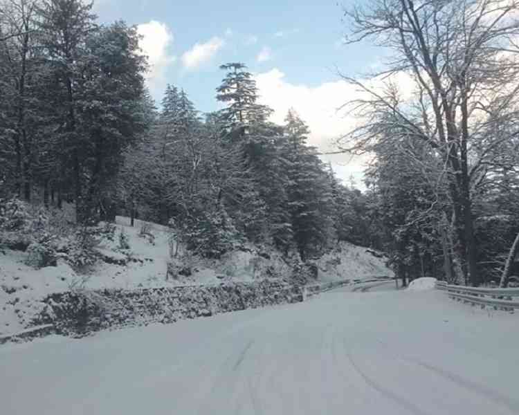 snowfall in-himachal