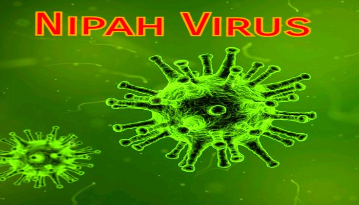 nipah-virus