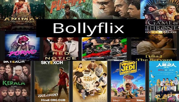 Bollyflix-free-movies-download